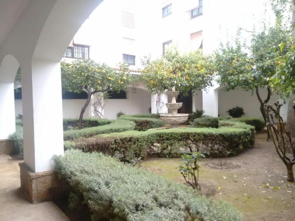 A garden outside Charming apartment in El Puerto de Santa María with terrace