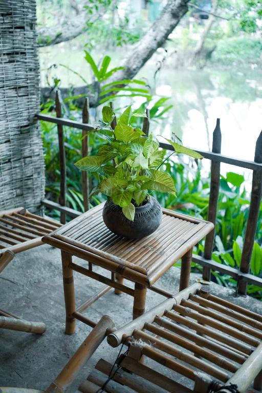 Zahrada ubytování Homestay Mekong Can Tho