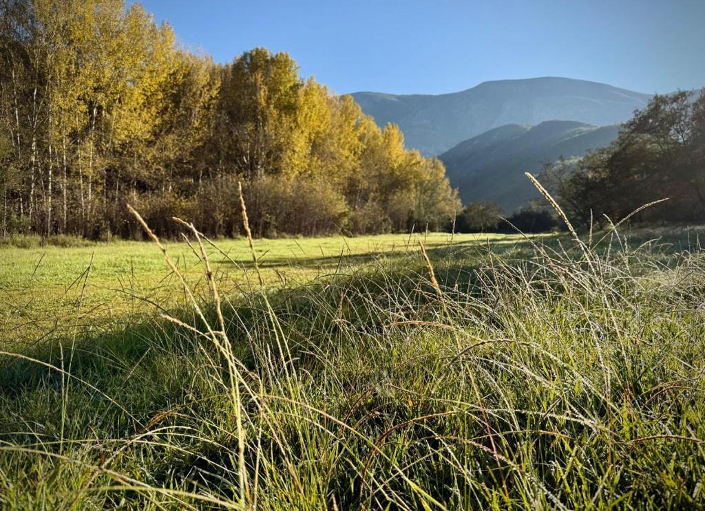 a field of grass with trees and mountains in the background at Pat Busch Mountain Reserve in Robertson