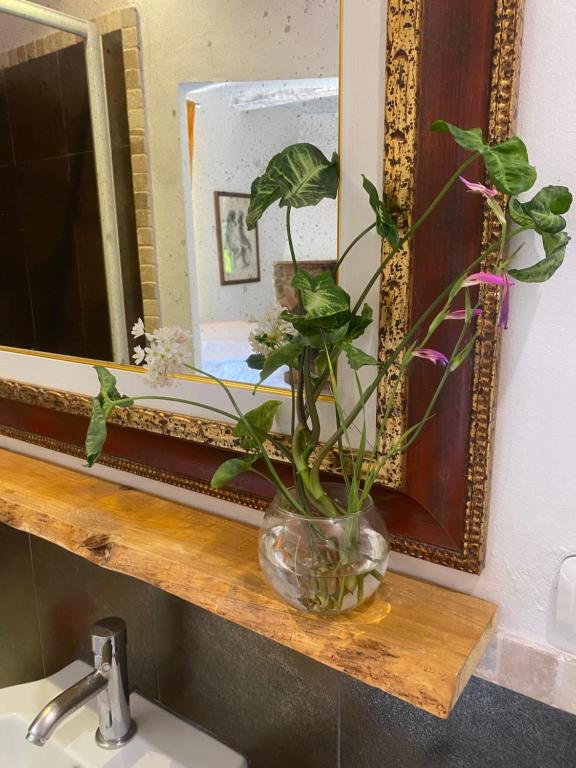 Fotografie z fotogalerie ubytování Agriturismo Nibbiano v destinaci Montepulciano