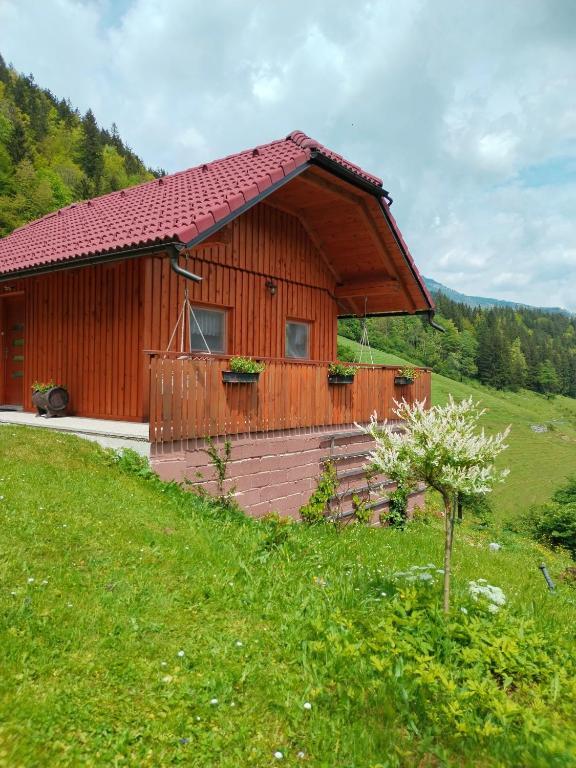 Paesaggio naturale nelle vicinanze della casa vacanze