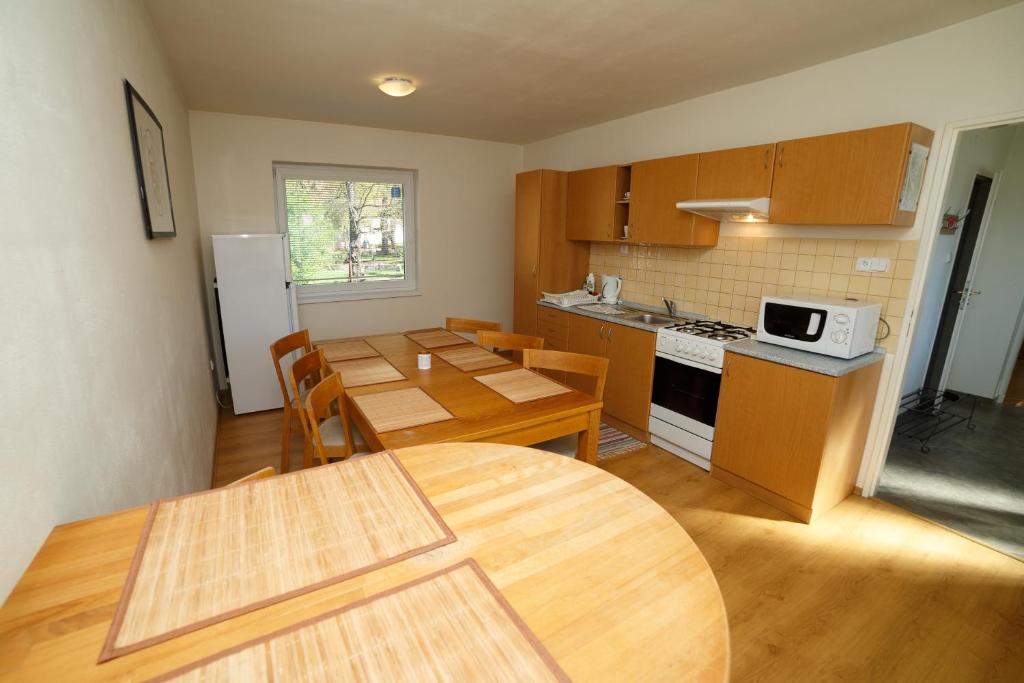 Kuchyň nebo kuchyňský kout v ubytování Apartmánový Dom River