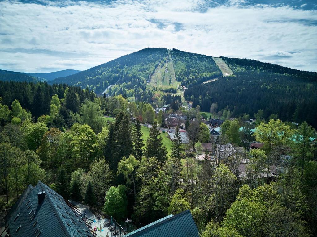 Příroda nedaleko apartmánu