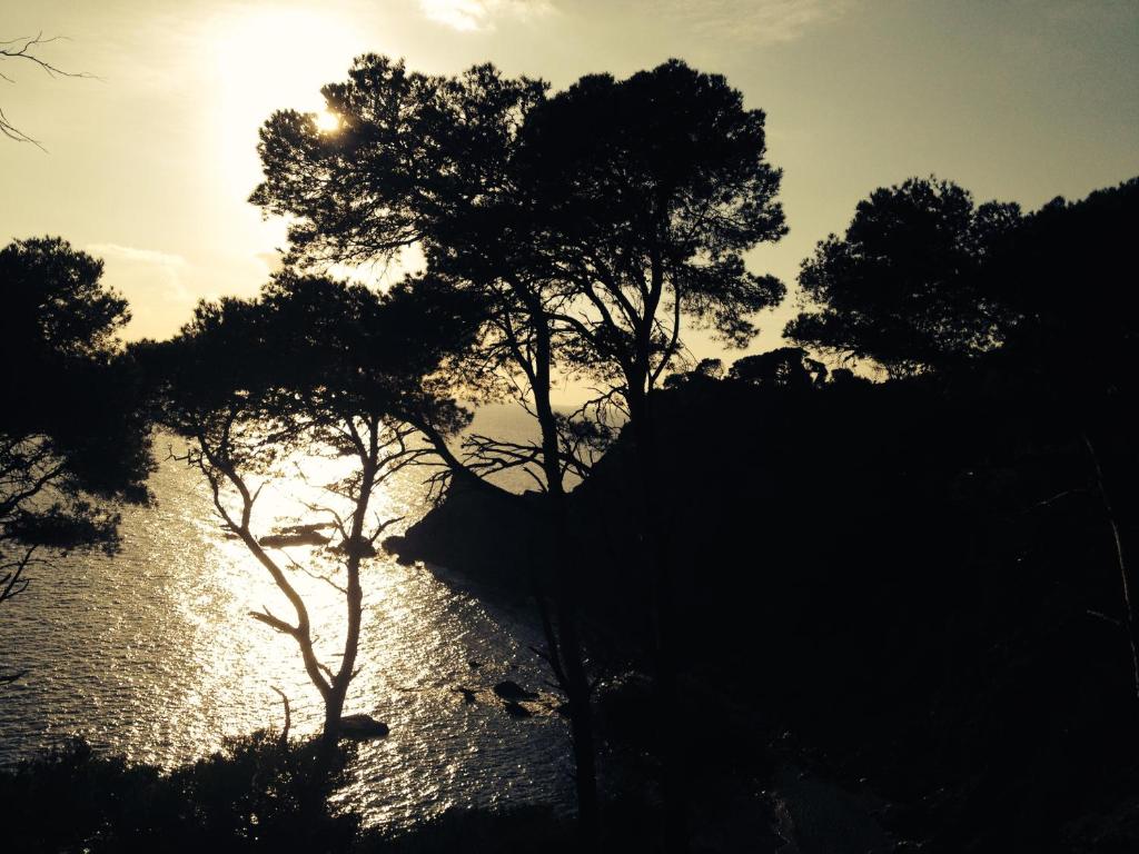 a silhouette of trees next to a body of water at Les Lones avec jardin in Six-Fours-les-Plages