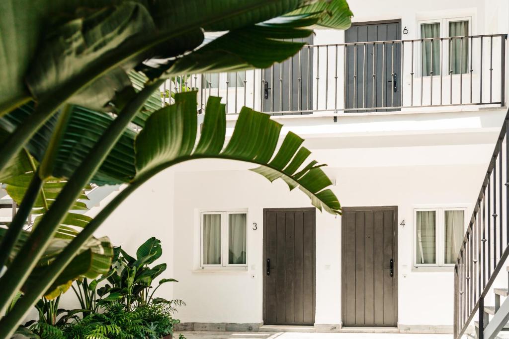 biały budynek z brązowymi drzwiami i roślinami w obiekcie ASTUTO 21 Suites - Adults Only w mieście Jerez de la Frontera