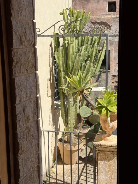 Balkón nebo terasa v ubytování Panorama Suites Noto - Adults Only