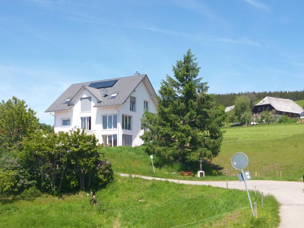 a white house on a grassy hill with a tree at Luxus Appartement In Kappel in Lenzkirch