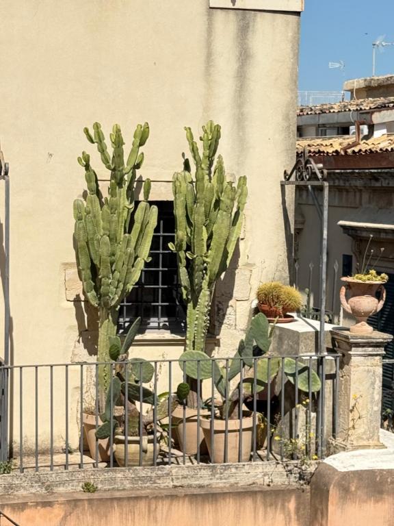 Fotografie z fotogalerie ubytování Panorama Suites Noto - Adults Only v destinaci Noto