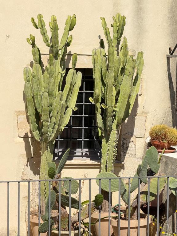 Fotografie z fotogalerie ubytování Panorama Suites Noto - Adults Only v destinaci Noto