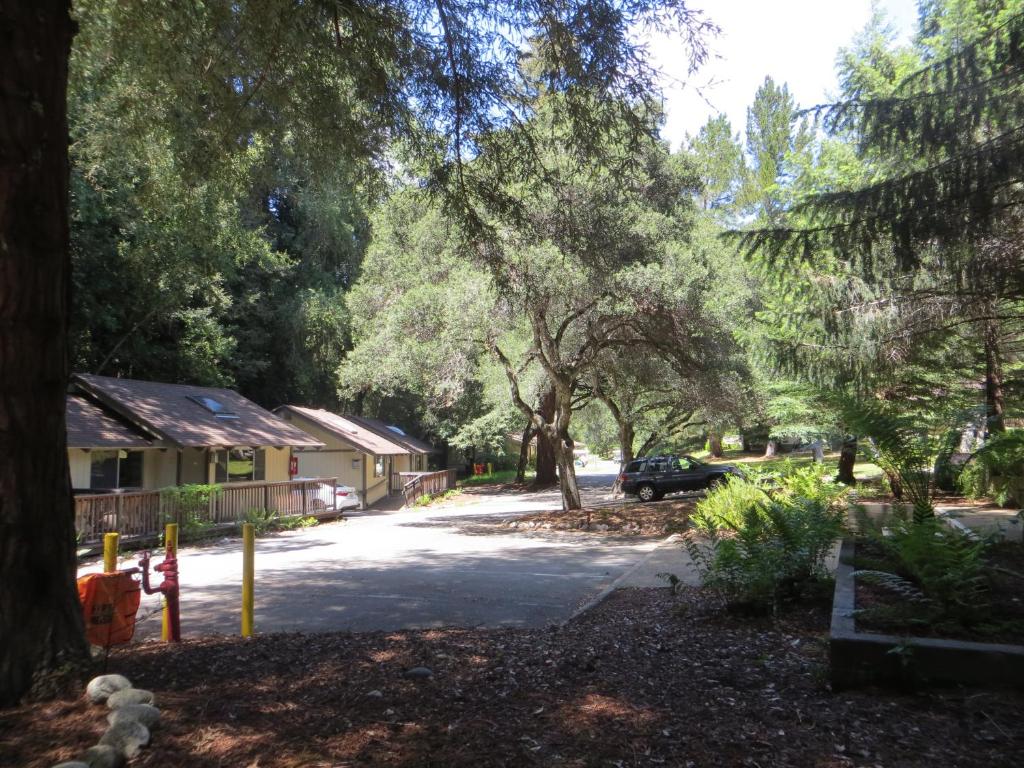 a wooded area with trees and a street sign at Big Sur Lodge in Big Sur
