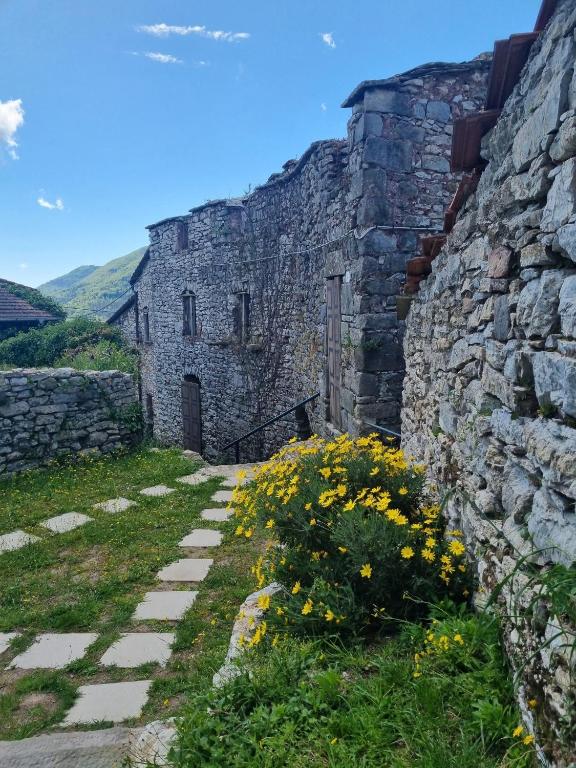 Príroda v okolí apartmánu