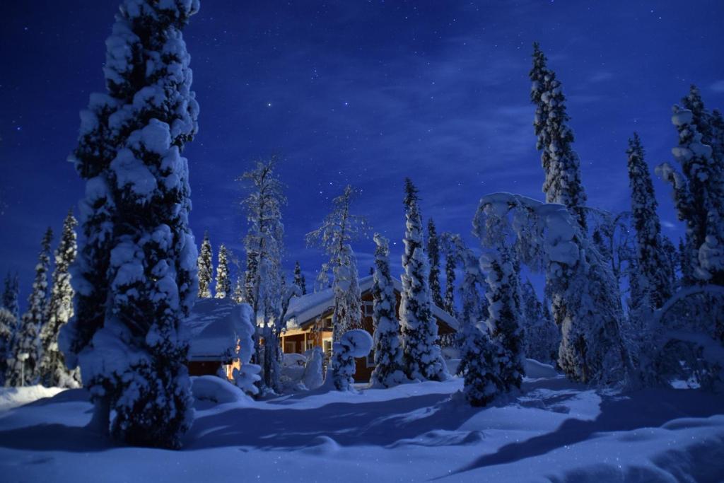 a house in the snow at night at Iltarusko in Rauhala