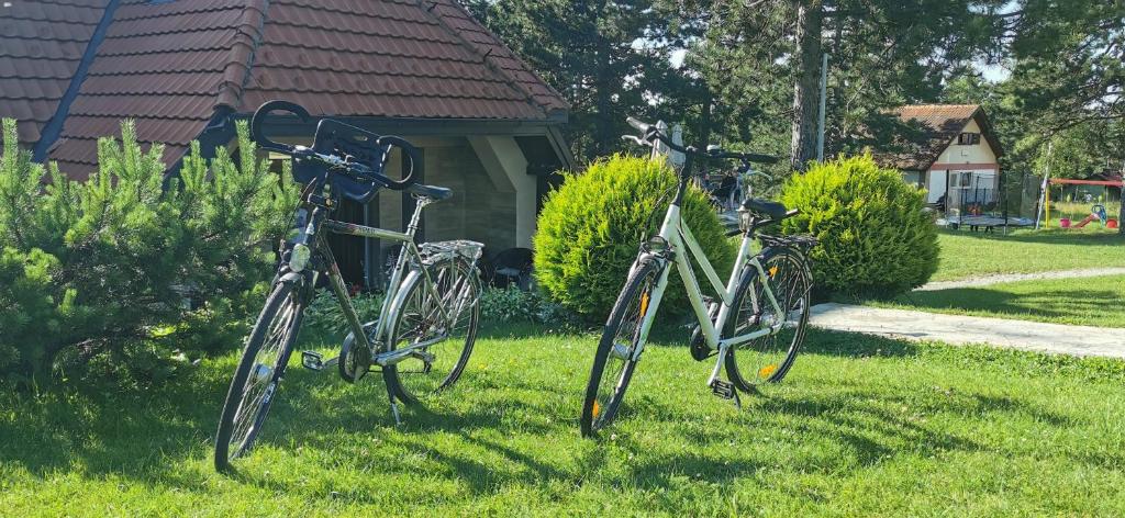 Ciclismo en Pastirica o alrededores