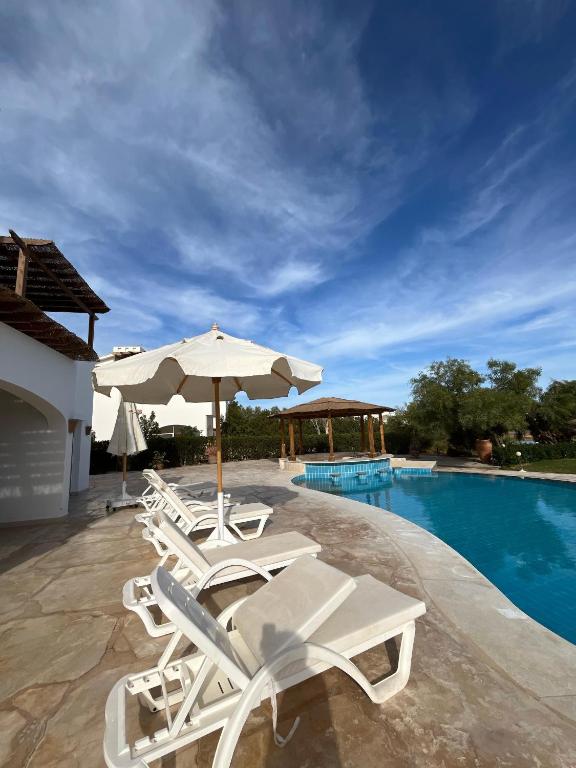 Bazén v ubytování white villa 4 bedroom elgouna heated pool nebo v jeho okolí