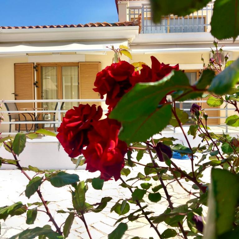 Balkón nebo terasa v ubytování Eleni Suites Methoni