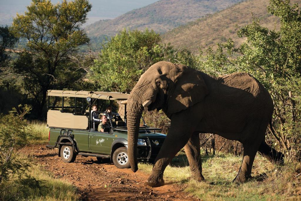 an elephant walking on a dirt road next to a vehicle at Kwa Maritane Lodge in Ledig