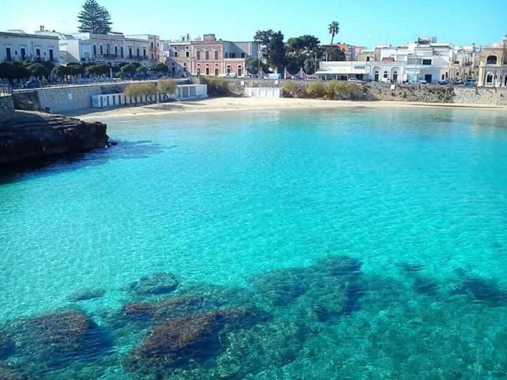 a large body of water with a beach and buildings at Villa Cenate in Nardò