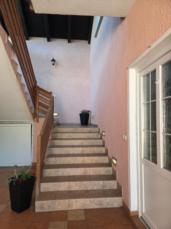 Apartman & Sobe Orhideja - 18