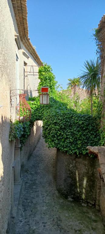 Zahrada ubytování Palazzo Caracciolo