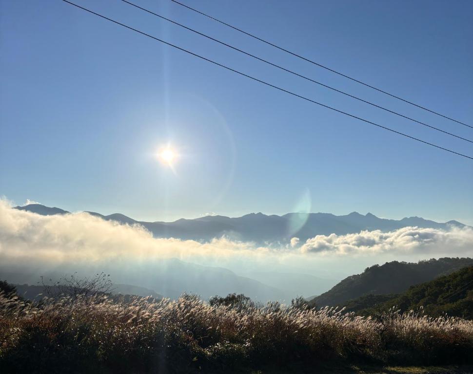 ホテルの近くで見られる自然の景観