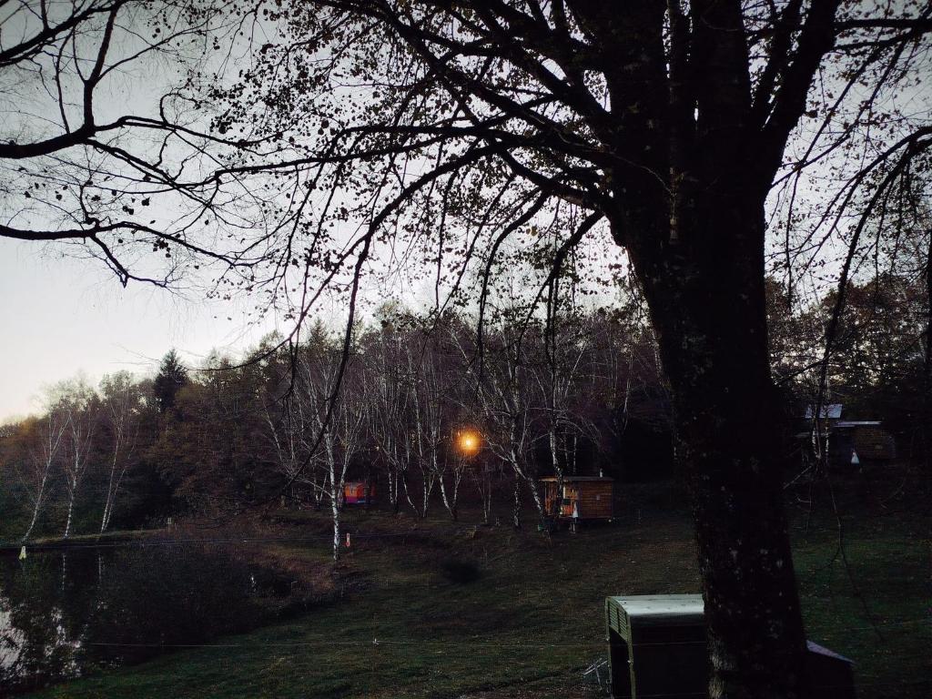 Photo de la galerie de l'établissement Mange Tes Roulottes, à Sousceyrac