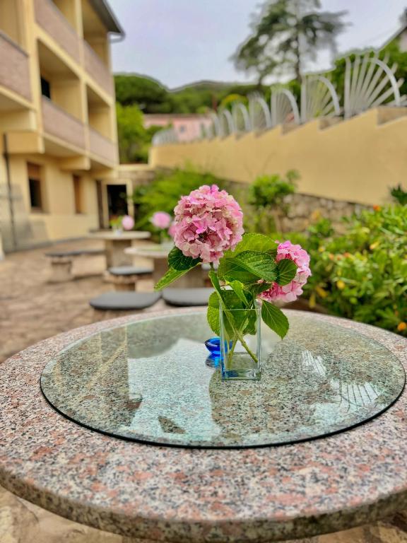 Zahrada ubytování Hotel Fontalleccio