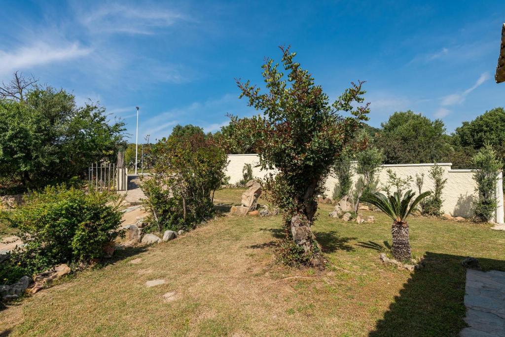 Ogród w obiekcie Casa Nicoletta