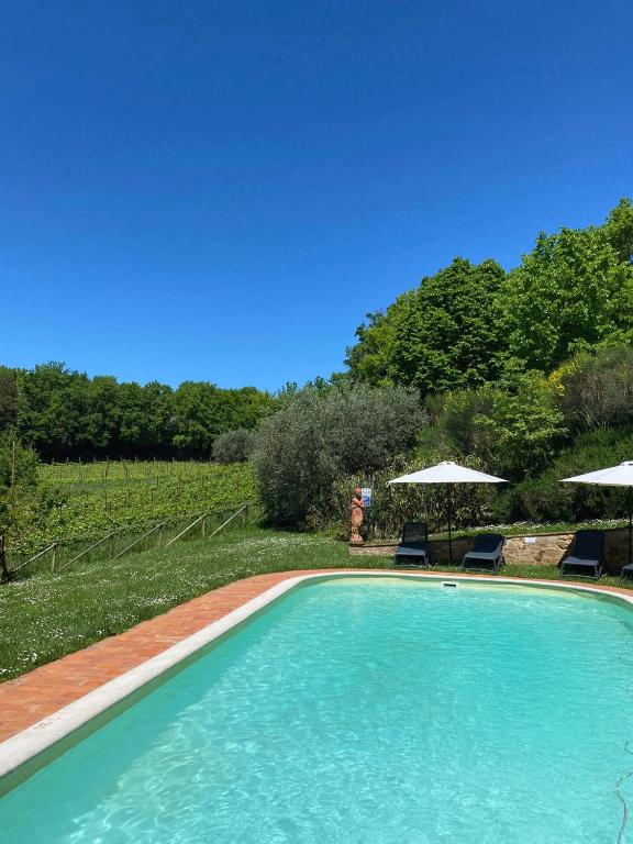 Basen w obiekcie Agriturismo Borgo 7 Tigli - Apt 5 lub w pobliżu