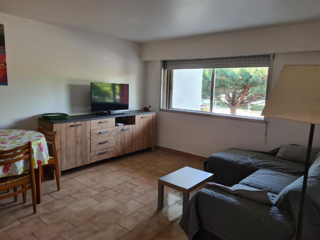 un salon avec un canapé et une télévision à écran plat dans l'établissement Appartement Saint Cyprien plage réservable du samedi au samedi les mois de Juillet et Aout, à Saint Cyprien Plage