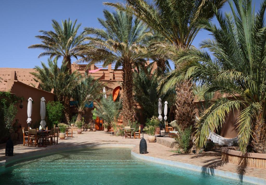 ein Resort mit einem Pool und Palmen in der Unterkunft Dar Pienatcha in Zagora