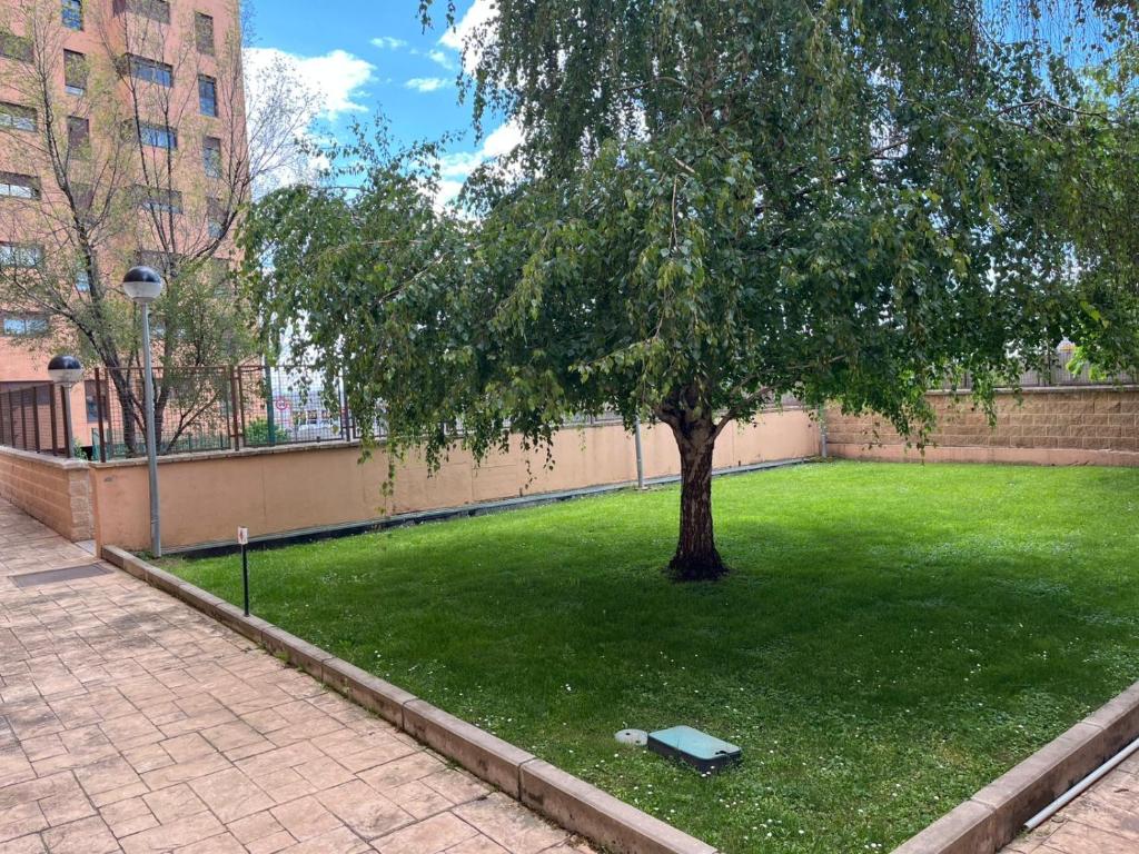 En have udenfor Apartamento turístico Vallecas