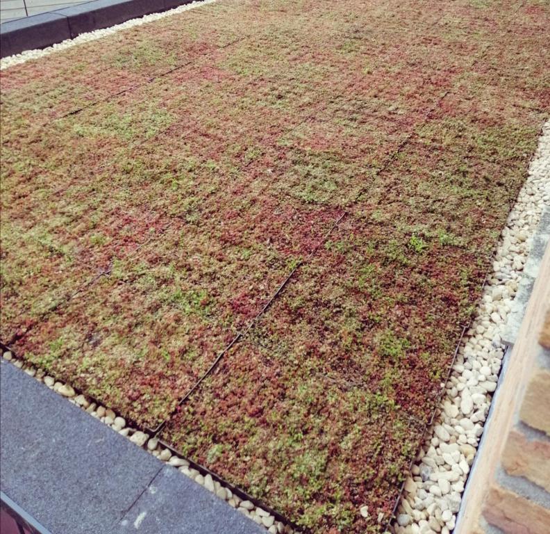 Zahrada ubytování Eco lodge Utrecht Leidsche Rijn