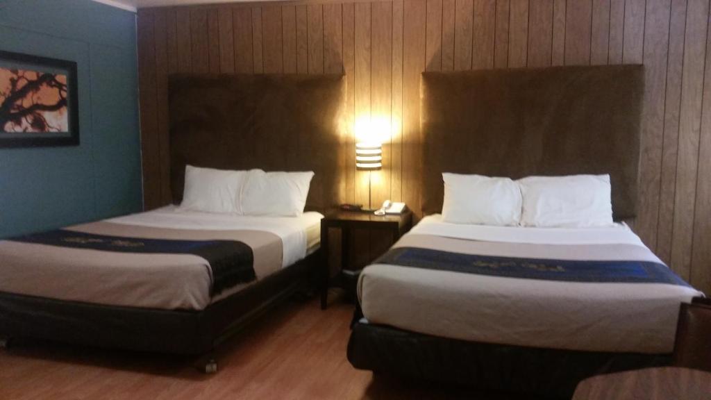 The Gold Lodge - Mini Suite