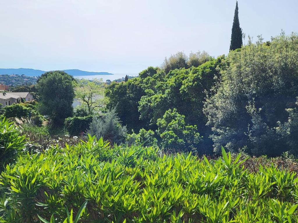 - une vue sur une colline plantée d'arbres et de buissons dans l'établissement Appartement vue mer, à Cavalaire-sur-Mer