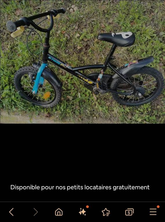 un vélo est garé sur l'herbe dans l'établissement U Cipressu, à Olmeto