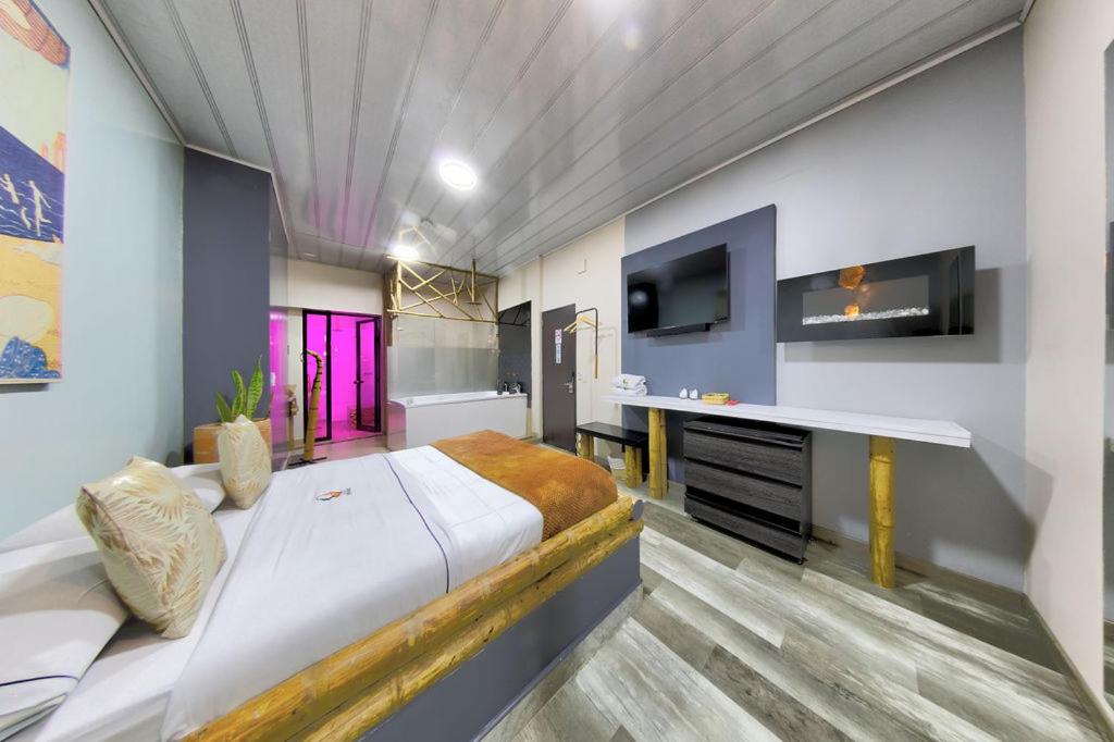 TV a/nebo společenská místnost v ubytování Hotel Zensual