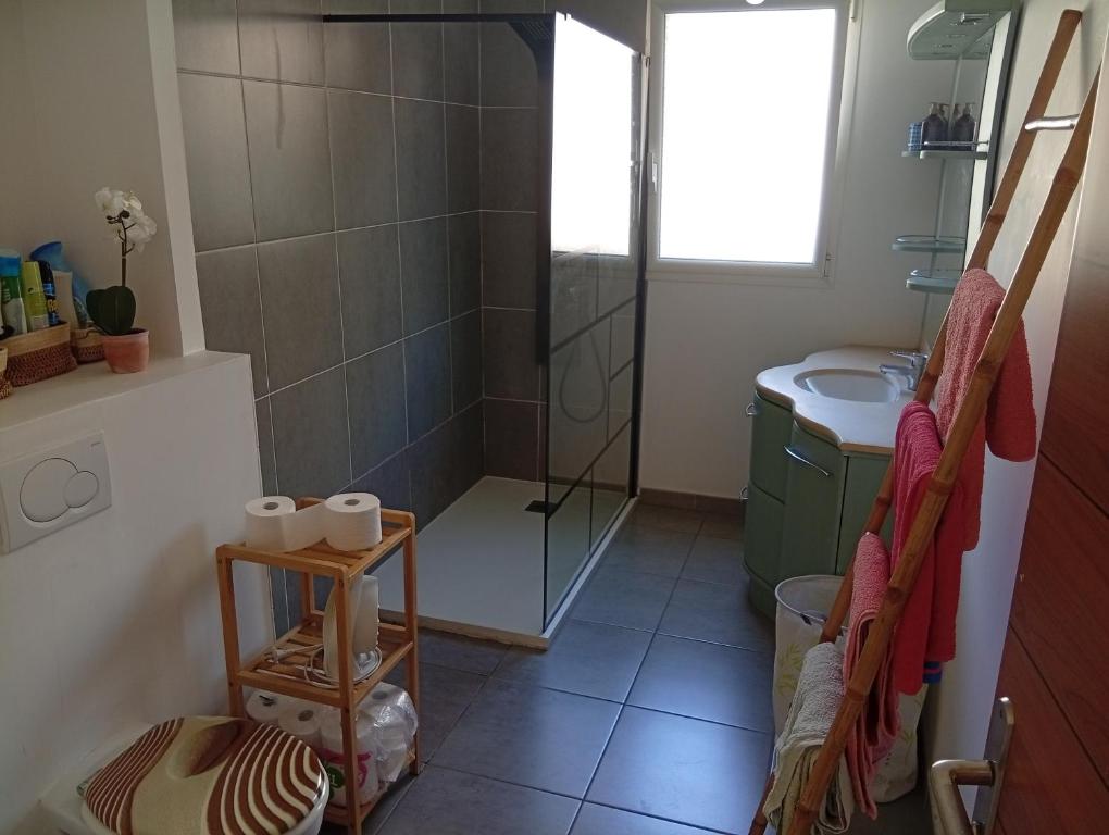Łazienka w obiekcie Appart Piscine Privée 80M2 7mn vélodrome et Métro