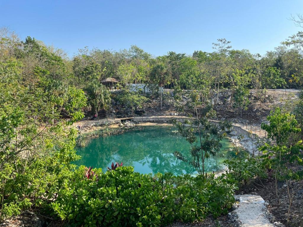 Cenote Escondido Eco Hotel