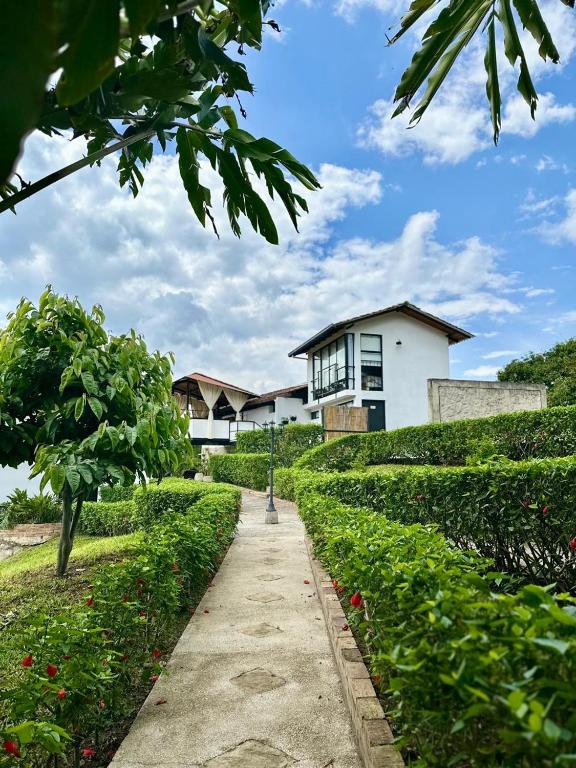 a walkway in front of a white building at Acaima Café Lodge in Sasaima
