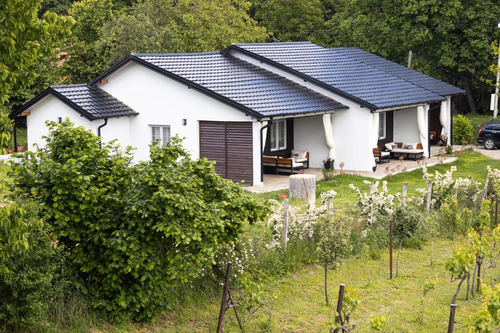 a house with solar panels on the roof at Gora Apartments 3 in Vrdnik