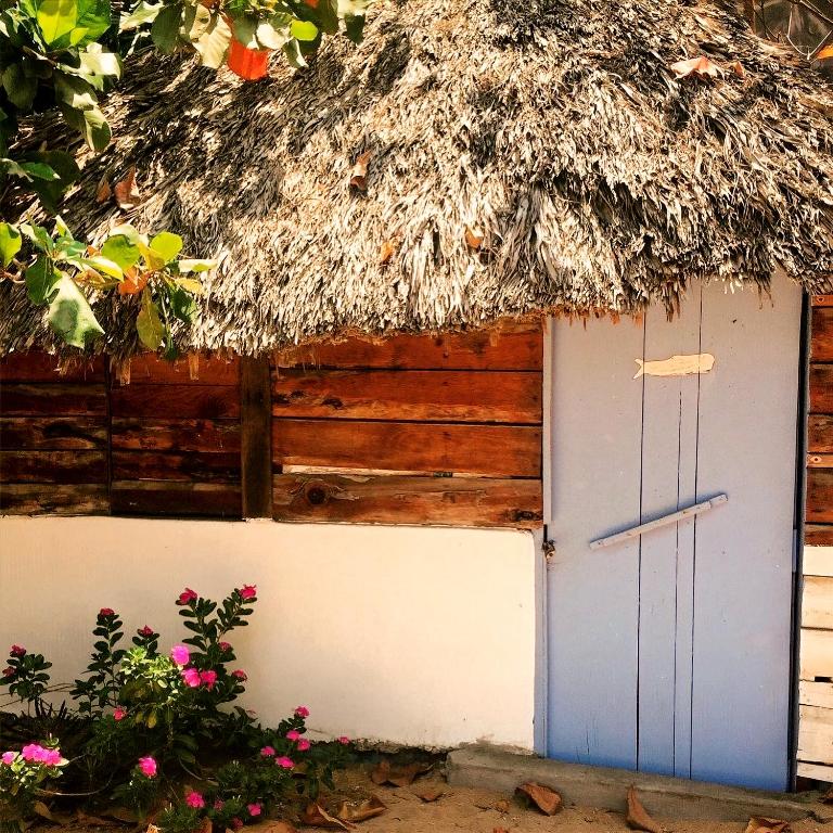 Fotografie z fotogalerie ubytování Ballelita v destinaci Zipolite
