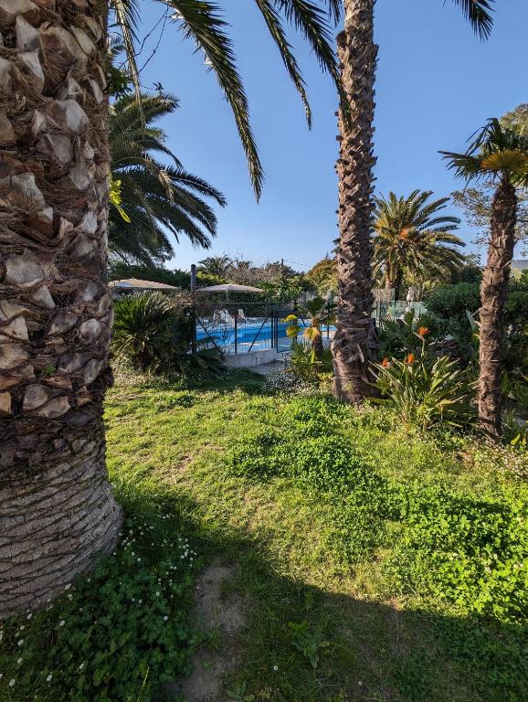 Ogród w obiekcie Le Mas de la Palmeraie - Appartement dans propriété privée au calme avec piscine et tennis