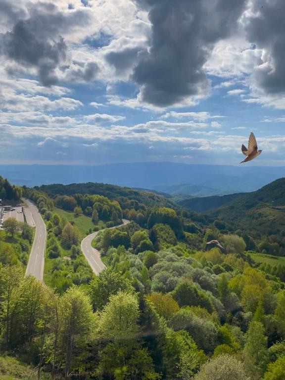 NLux Nest - Resim 17