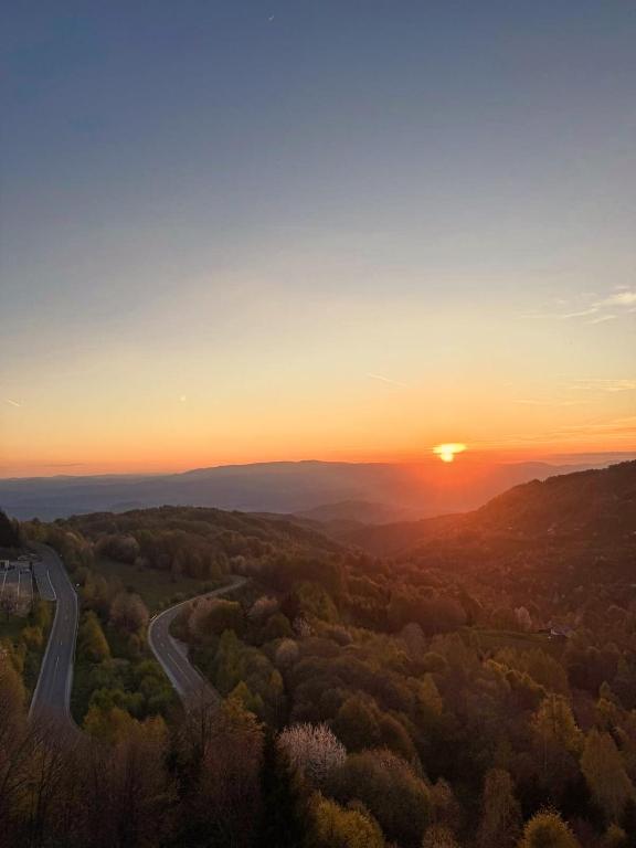 NLux Nest - Resim 19