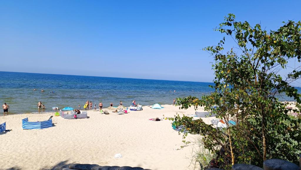 Príroda v okolí dovolenkového domu