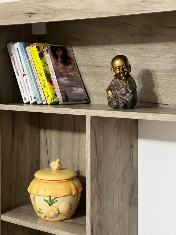 Biblioteca de l'apartament