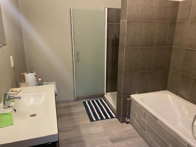 Koupelna v ubytování Pour professionnel en déplacement