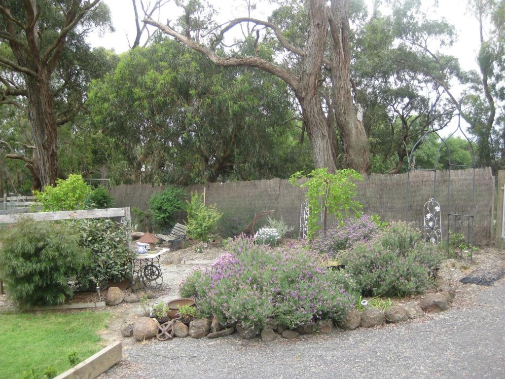 a garden with a fence and some bushes and flowers at Honeyeater Cottage in Seville