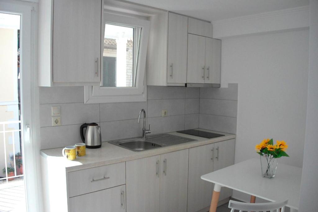 Kuchyň nebo kuchyňský kout v ubytování Andromeda Seaside Apartments