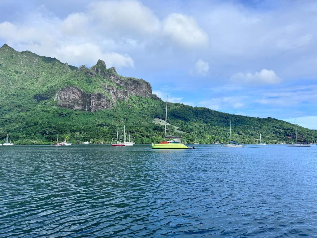 Nuit insolite sur un catamaran - photo 5 - Moorea, Polynésie